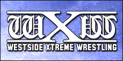 news-wXw13