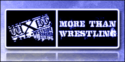 news-wxw11