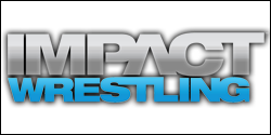 news16-IMPACT